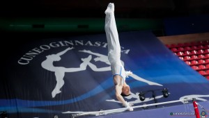 gam sfe01033 copia simone ferraro ph